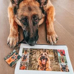 @ashthegermanshepherd make-up tasje
